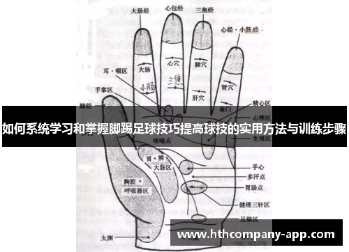 如何系统学习和掌握脚踢足球技巧提高球技的实用方法与训练步骤